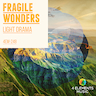 Flutter And Flight album cover