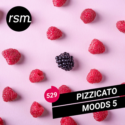 Pizzicato Moods 5 cover