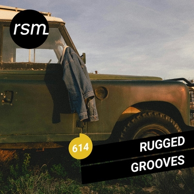 Rugged Grooves cover
