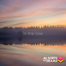 A New Perspective album cover
