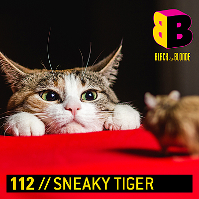 Sneaky Tiger cover