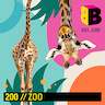 Cute Cutie album cover