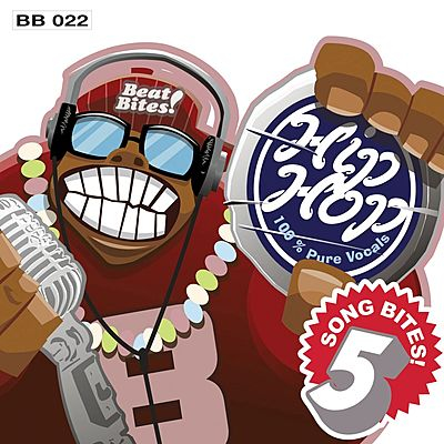 Song Bites 5: Hip Hop cover