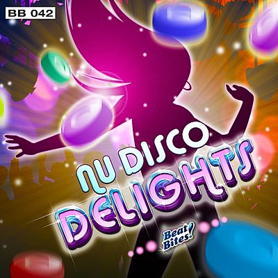 Nu Disco Delights cover