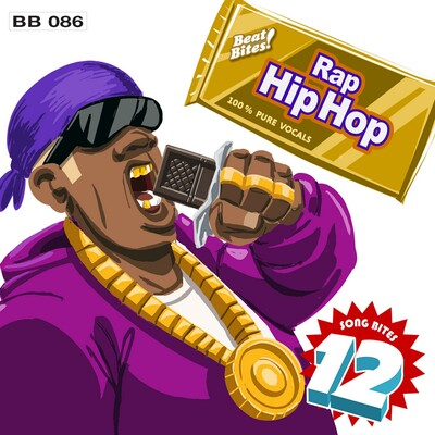 Song Bites 12: Rap Hip-Hop cover