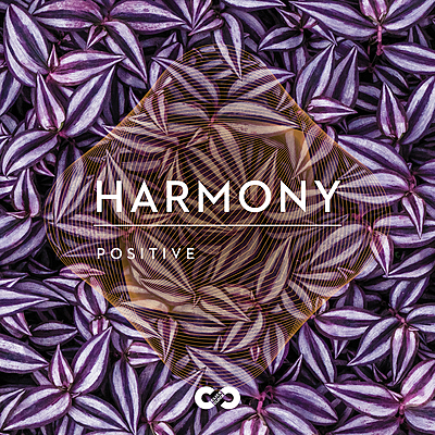 Positive: Harmony cover