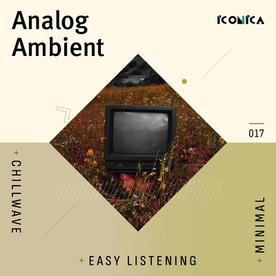 Analog Ambient: Chillwave Minimal Easy Listening cover
