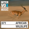African Halam Guitar-Smooth album cover