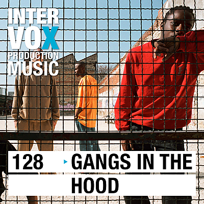 Gangs In The Hood cover