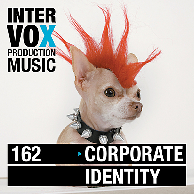 Corporate Identity cover