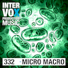 Micro Ants album cover
