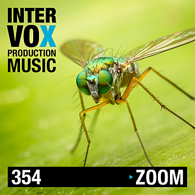 Zoom cover