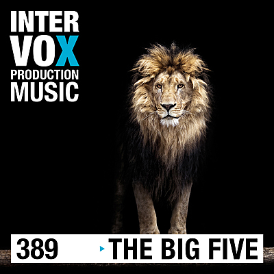 The Big Five cover