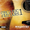Mandolin Song album cover