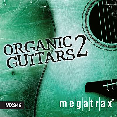 Organic Guitars 2 cover