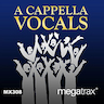 Ave Maria (Vocal) album cover