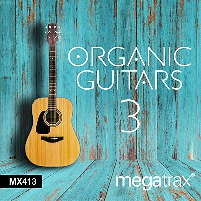 Organic Guitars 3 cover