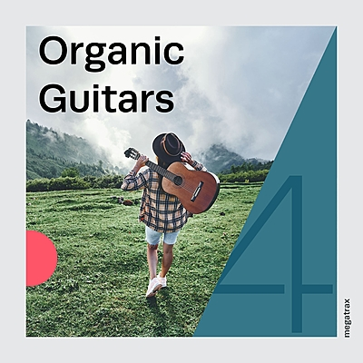 Organic Guitars 4 cover