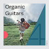 Picking On A Chicken album cover