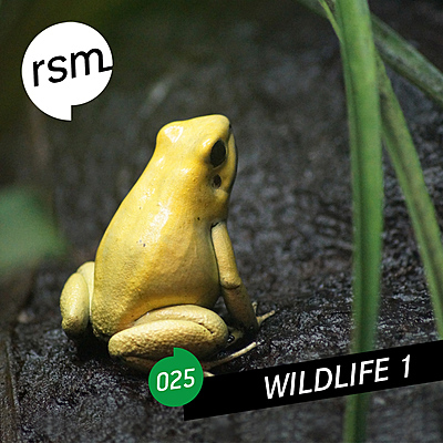 Wildlife Vol. 1 cover