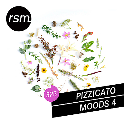 Pizzicato Moods 4 cover