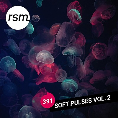 Soft Pulses Vol. 2 cover