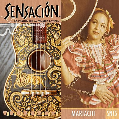 Mariachi cover