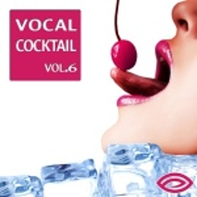Vocal Cocktail Vol. 6 cover