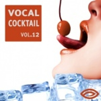 Vocal Cocktail Vol.12 cover