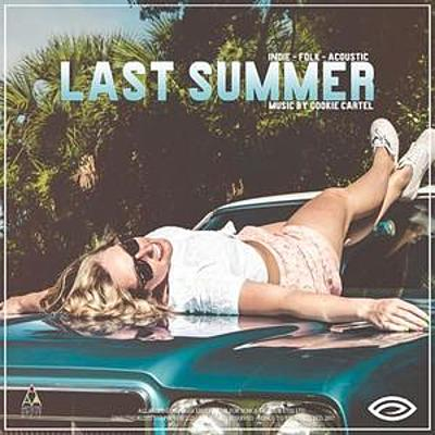 Last Summer (Acoustic Folk) cover