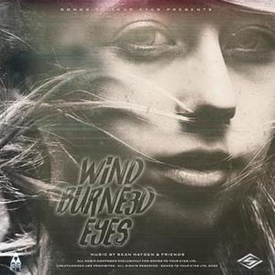Wind Burned Eyes (Inspiring Indie Folk & Synthpop) cover