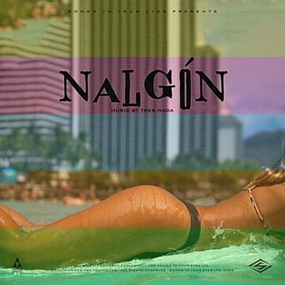 Nalgon (Reggaeton And Latin Pop Songs) cover