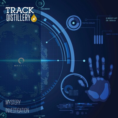 Mystery Investigation cover