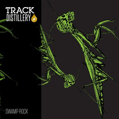 Swamp Rock cover