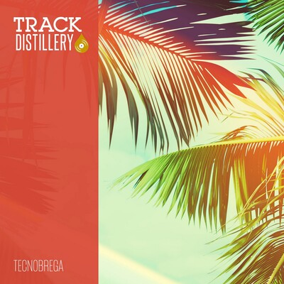 Tecnobrega cover