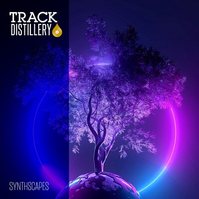 Synthscapes cover