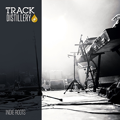 Indie Roots cover