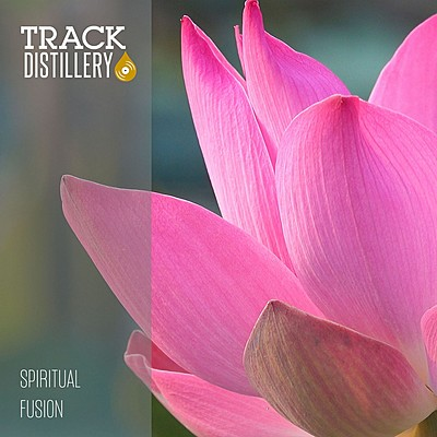 Spiritual Fusion cover