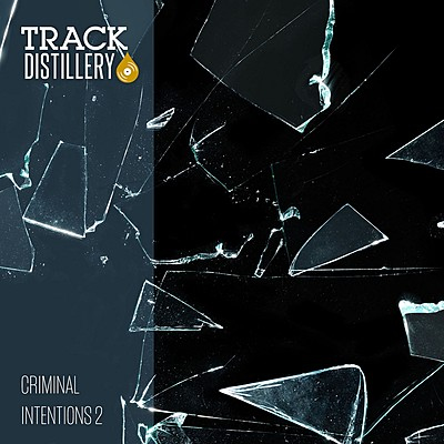 Criminal Intentions 2 cover