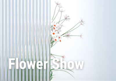 Flower Show cover