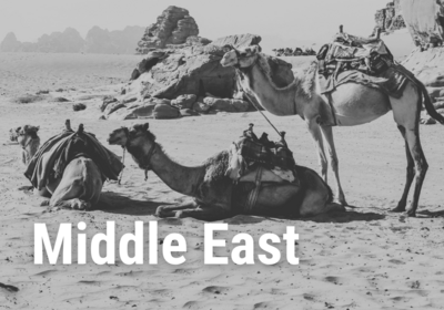 Middle Eastern Travels cover